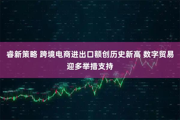 睿新策略 跨境电商进出口额创历史新高 数字贸易迎多举措支持