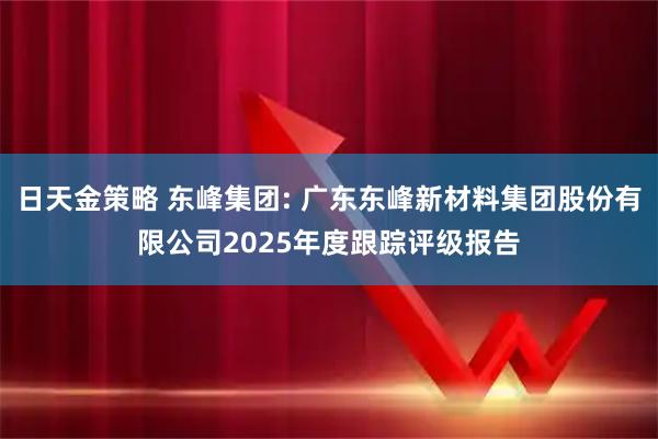 日天金策略 东峰集团: 广东东峰新材料集团股份有限公司2025年度跟踪评级报告