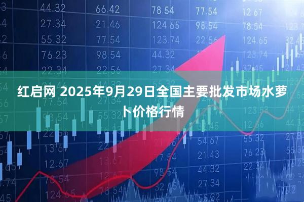 红启网 2025年9月29日全国主要批发市场水萝卜价格行情