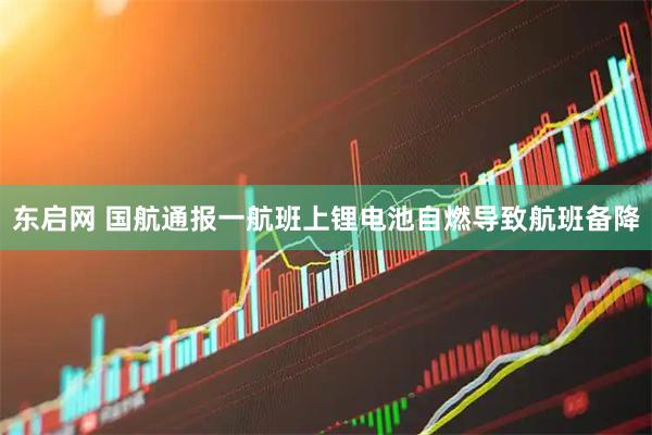 东启网 国航通报一航班上锂电池自燃导致航班备降