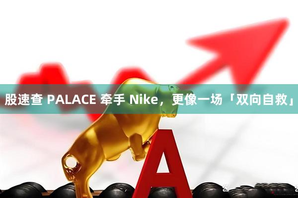 股速查 PALACE 牵手 Nike，更像一场「双向自救」