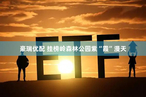 豪瑞优配 挂榜岭森林公园紫“霞”漫天